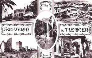TLEMCEN 207 